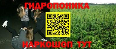 эйфоретик Кунгур