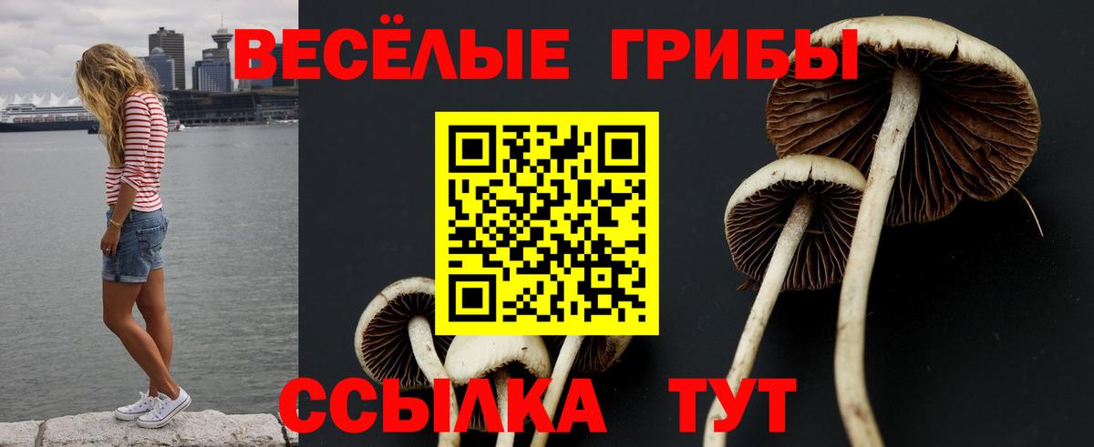 Галлюциногенные грибы Cubensis  Вход с VPN  Елизово  Псилоцибиновые грибы ЛСД 