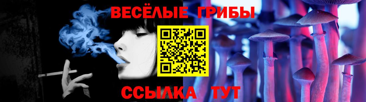 Псилоцибиновые грибы прущие грибы Елизово